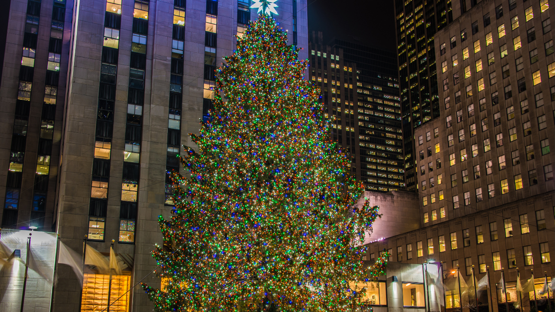 Top Things to Do in New York City During Christmas 2024