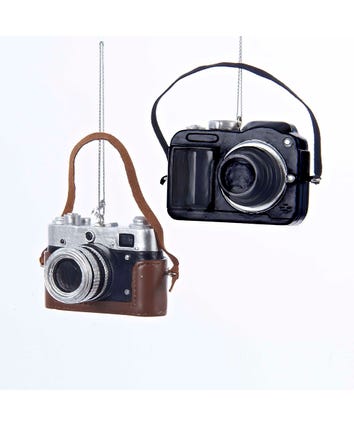 Camera Ornaments, 2 Assorted
