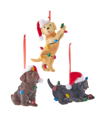 Puppy Ornaments, 3 Assorted